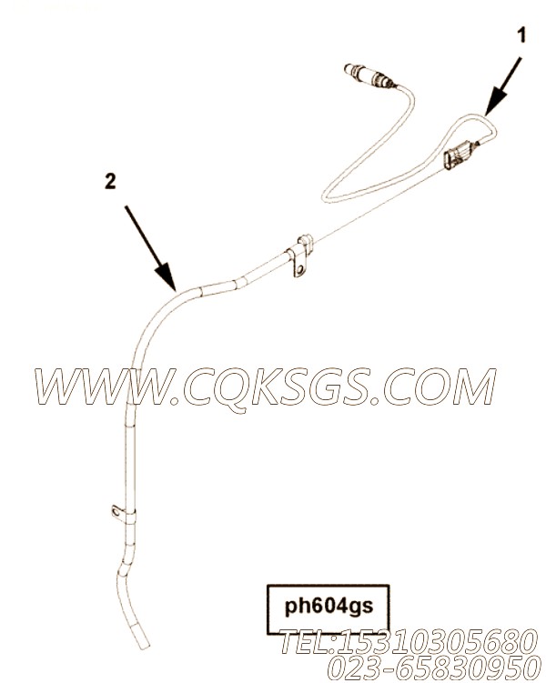 Harness, Wiring