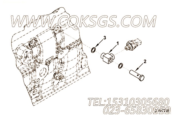 【Screw, Banjo Connector】康明斯CUMMINS柴油机的3954860 Screw, Banjo Connector