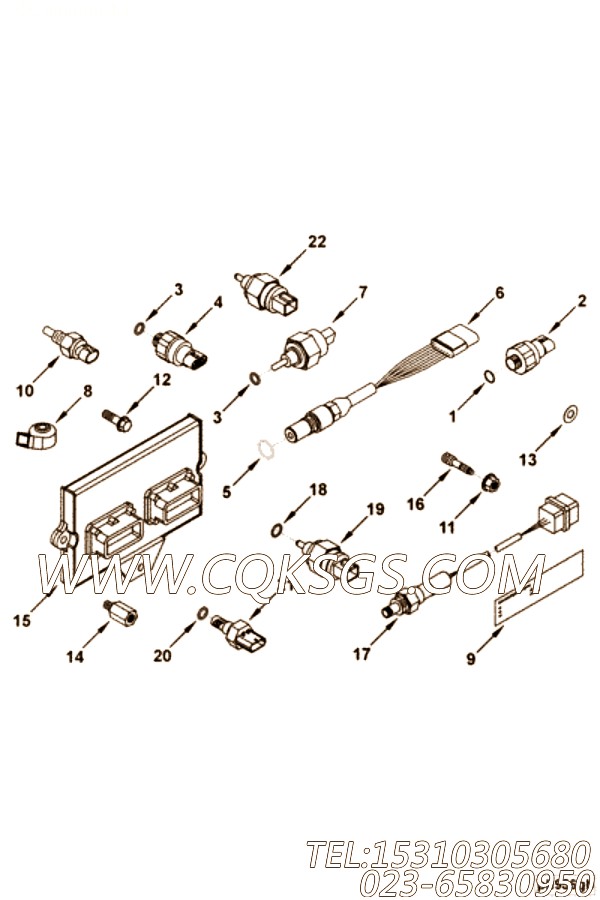 Module, Electronic Control