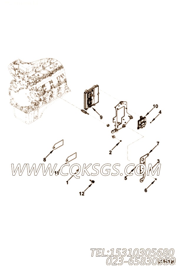 Harness, Wiring