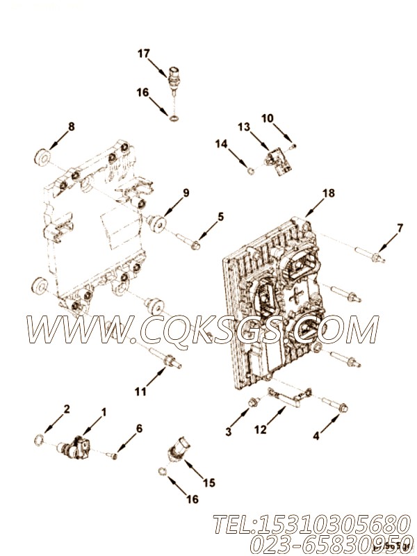 Screw, Studded Flange Cap