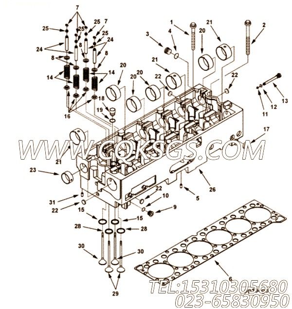 【螺塞】康明斯CUMMINS柴油机的3679123 螺塞