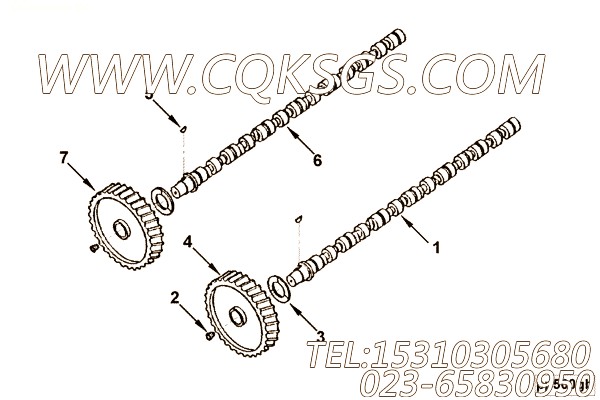 3021601键,用于康明斯NT855-C250柴油发动机性能件组,【牵张机】配件