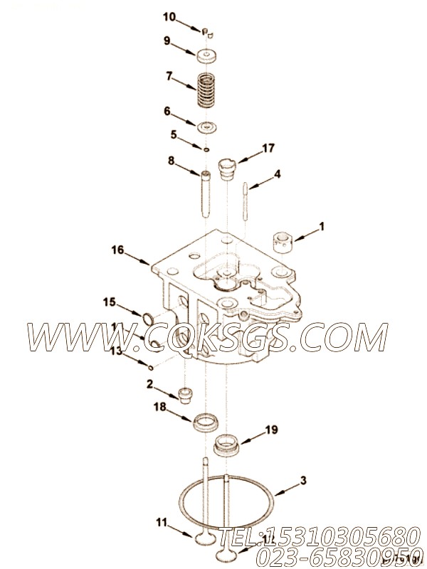 Head, Assy With Valves