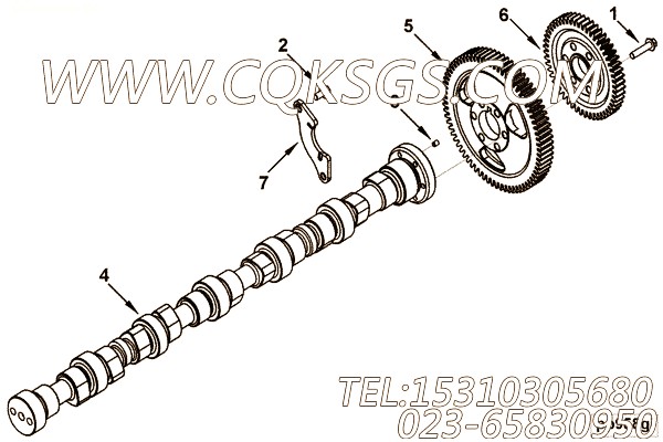Gear, Camshaft