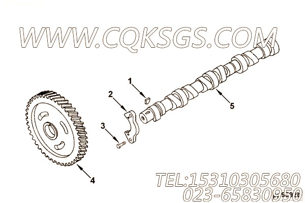 【C3975389】凸轮轴 用在康明斯发动机