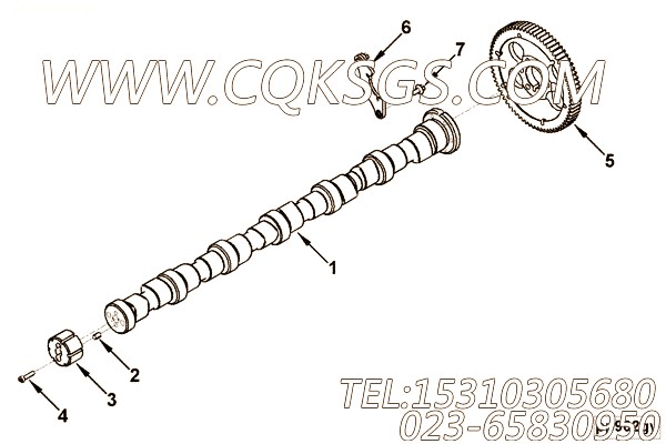 Gear, Camshaft