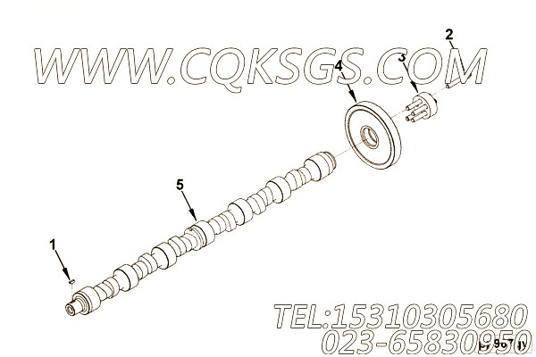 【发动机QSZ-C500的性能件组】 康明斯凸轮轴齿轮,参数及图片