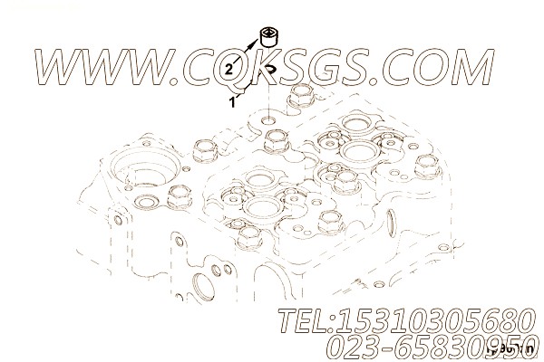 【螺塞】康明斯CUMMINS柴油机的3923079 螺塞