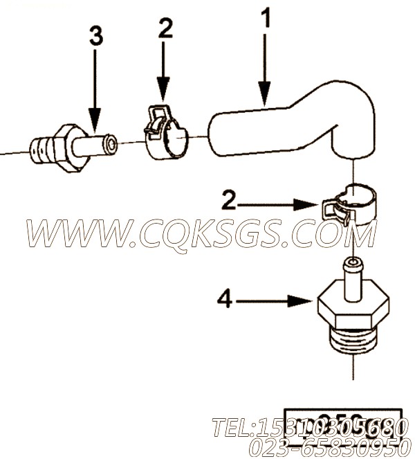 Hose, Molded