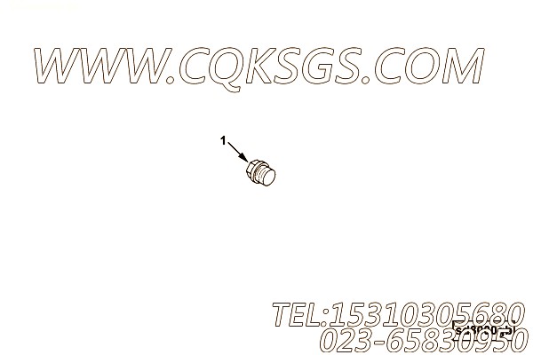 【螺塞】康明斯CUMMINS柴油机的C0272020810 螺塞