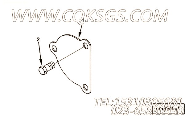 Cover, Starter Flange