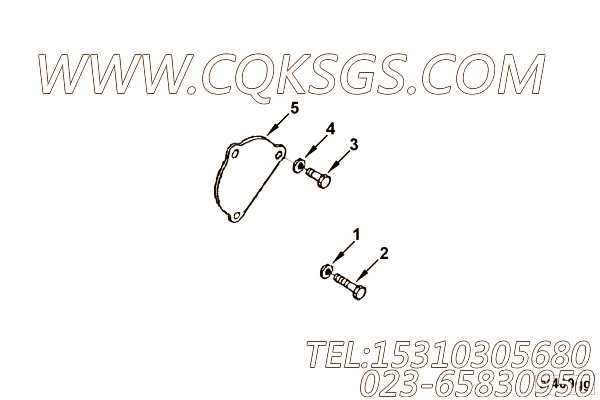 Cover, Starter Flange