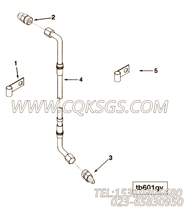 3095293阳性接头,用于康明斯KTA38-C1050柴油机基础件组,【吊管机】配件
