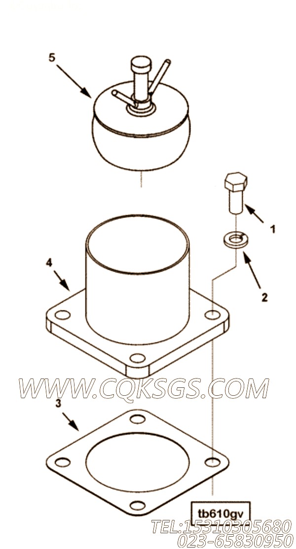 【接头密封垫】康明斯CUMMINS柴油机的4006795 接头密封垫