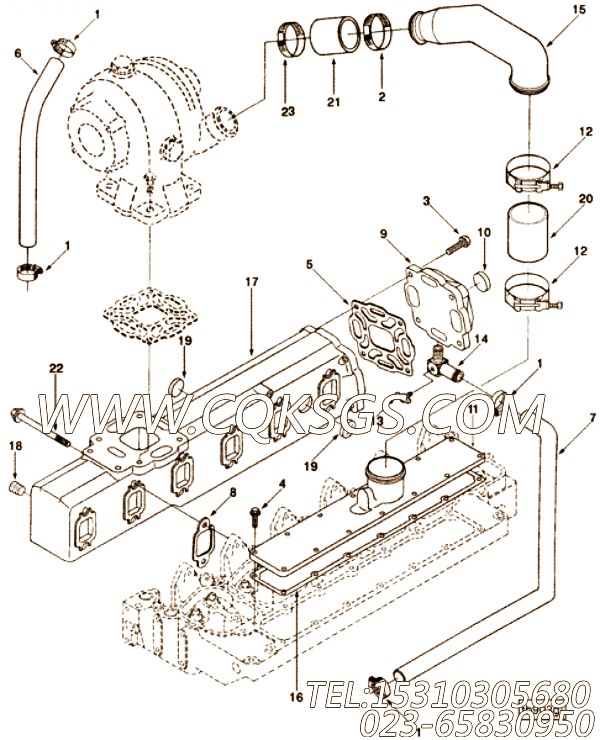 Coupling, Elbow Hose