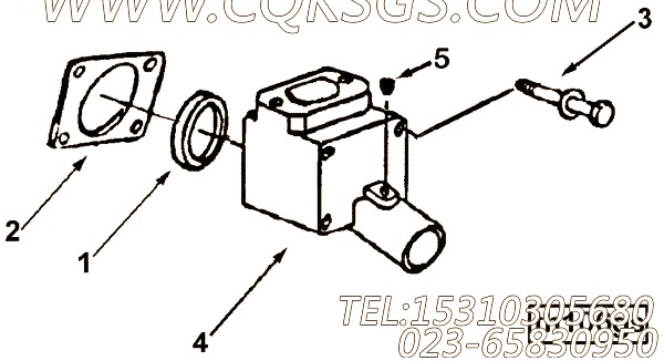 Gasket, Thermostat Housing