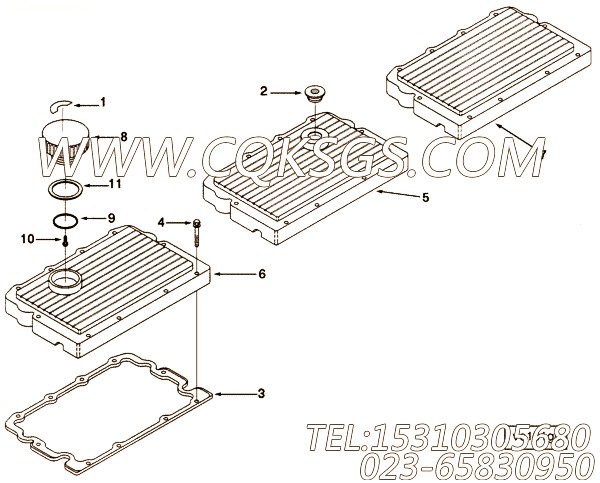 Screw, Self Tapping Metal