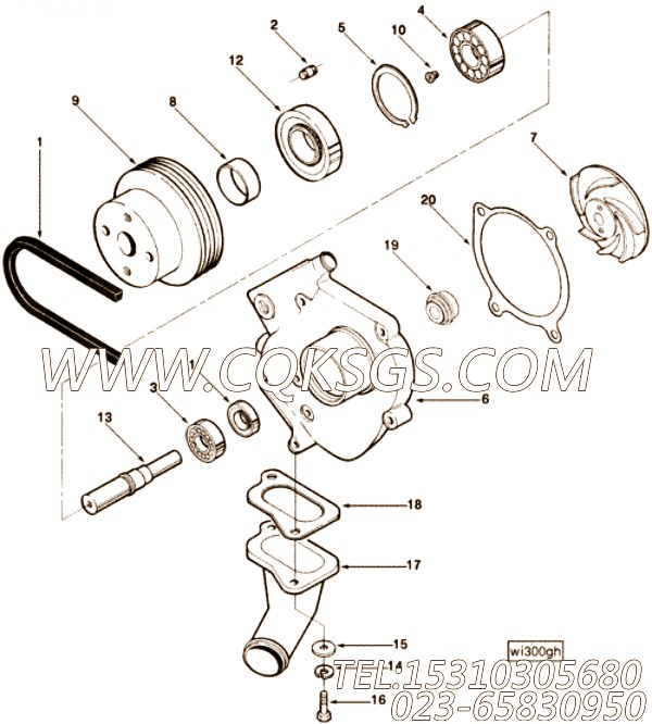 【可湿性粉剂维修（主要）套件】康明斯CUMMINS柴油机的3390118 可湿性粉剂维修（主要）套件