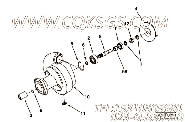 Coupling & Snap Ring