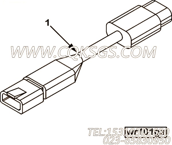 【ETR CNT MDL WRG线束】康明斯CUMMINS柴油机的3104487 ETR CNT MDL WRG线束