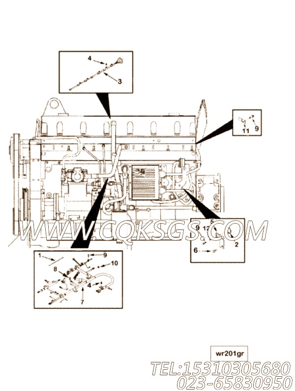 【总线）接线（TLA线束】康明斯CUMMINS柴油机的3161575 总线）接线（TLA线束