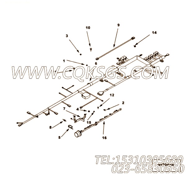 【ETR CNT MDL WRG线束】康明斯CUMMINS柴油机的3103155 ETR CNT MDL WRG线束