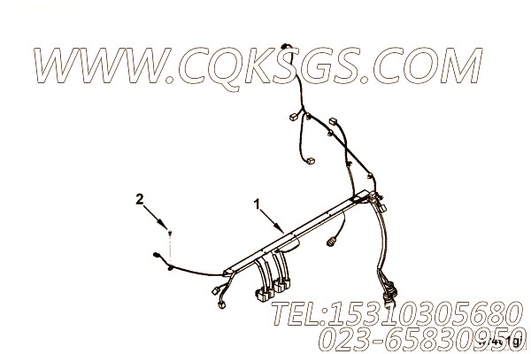 【ETR CNT MDL WRG线束】康明斯CUMMINS柴油机的4966746 ETR CNT MDL WRG线束