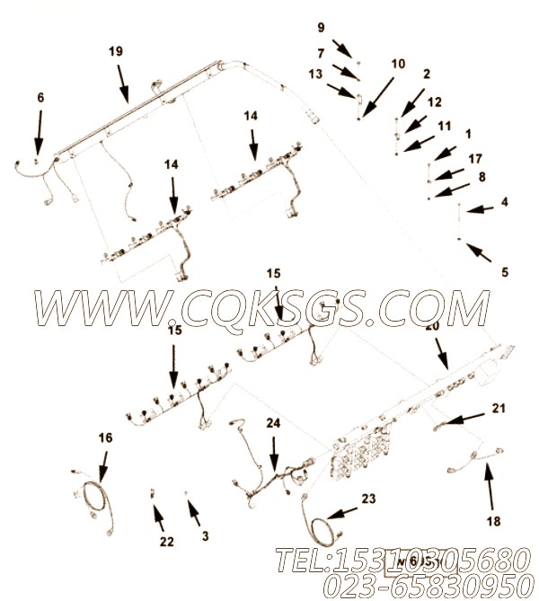 【ETR CNT MDL WRG线束】康明斯CUMMINS柴油机的3641274 ETR CNT MDL WRG线束