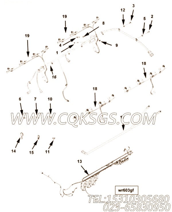 【ETR CNT MDL WRG线束】康明斯CUMMINS柴油机的3641556 ETR CNT MDL WRG线束