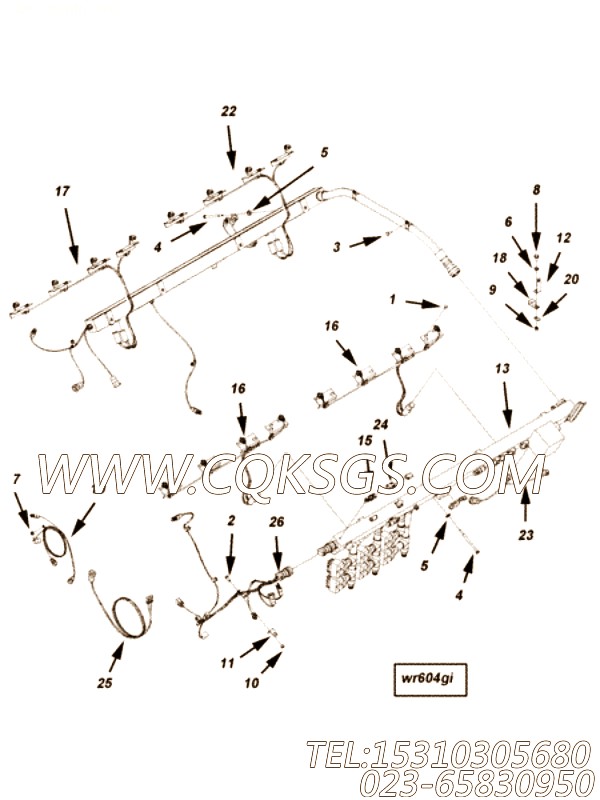 【ETR CNT MDL WRG线束】康明斯CUMMINS柴油机的3645547 ETR CNT MDL WRG线束