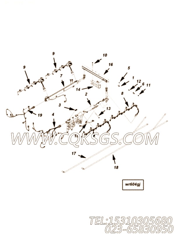 【ETR CNT MDL WRG线束】康明斯CUMMINS柴油机的3642417 ETR CNT MDL WRG线束