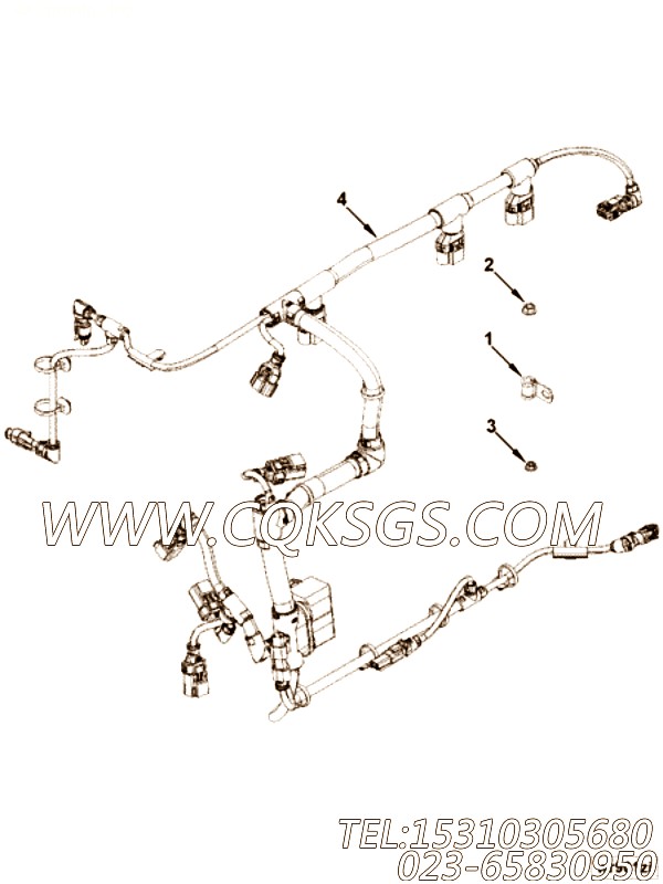 【ETR CNT MDL WRG线束】康明斯CUMMINS柴油机的4983372 ETR CNT MDL WRG线束