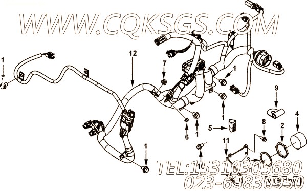 Harness, Etr Cnt Mdl Wrg