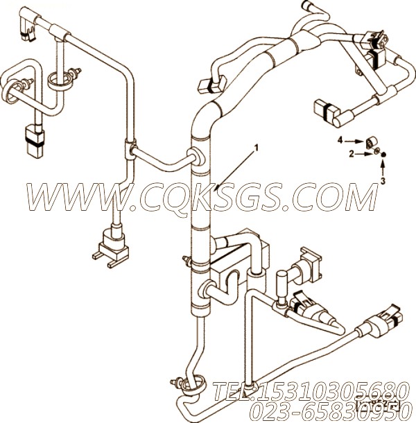 【切面】康明斯CUMMINS柴油机的4899837 切面