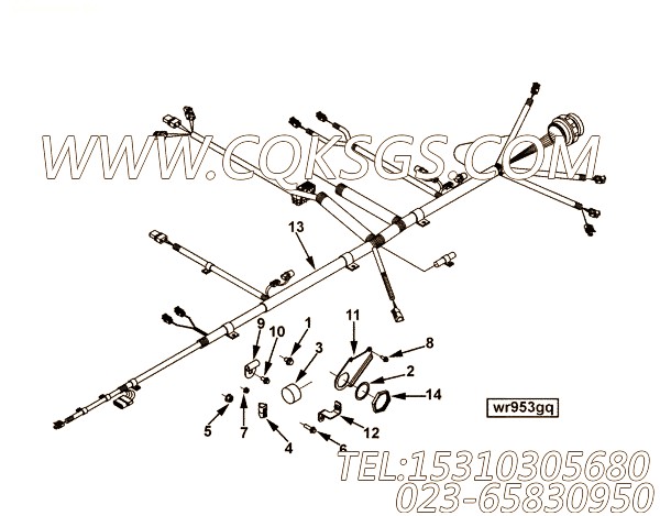【ETR CNT MDL WRG线束】康明斯CUMMINS柴油机的3991823 ETR CNT MDL WRG线束