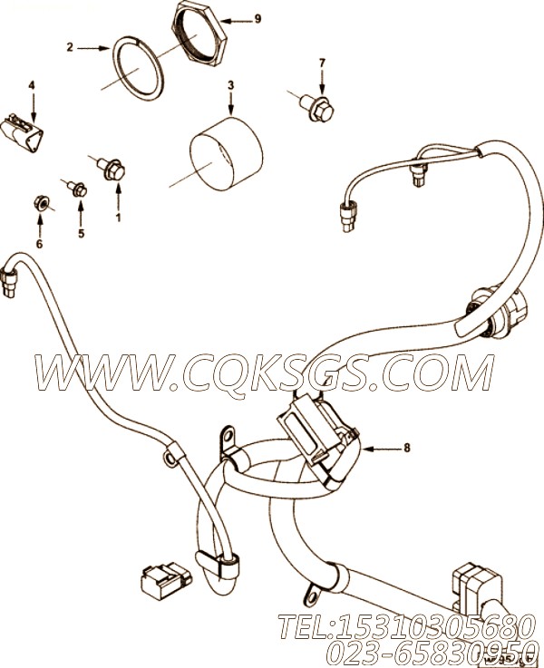 【ETR CNT MDL WRG线束】康明斯CUMMINS柴油机的3957633 ETR CNT MDL WRG线束