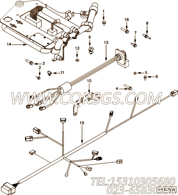【ETR CNT MDL WRG线束】康明斯CUMMINS柴油机的3968849 ETR CNT MDL WRG线束