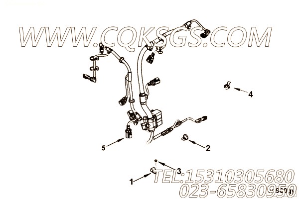 【发动机QSB5-G6的电控模块线束】 康明斯线束,参数及图片