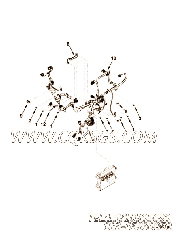 【ETR CNT MDL WRG线束】康明斯CUMMINS柴油机的4946174 ETR CNT MDL WRG线束