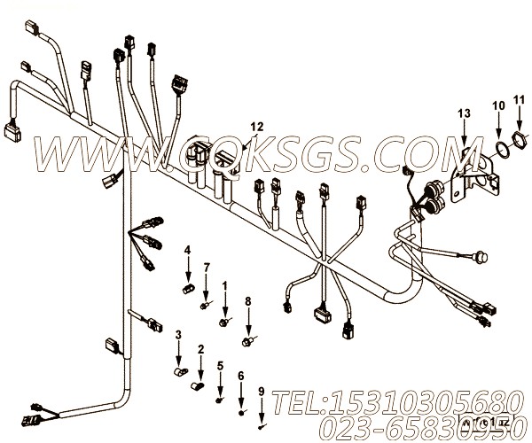 【ETR CNT MDL WRG线束】康明斯CUMMINS柴油机的4946372 ETR CNT MDL WRG线束