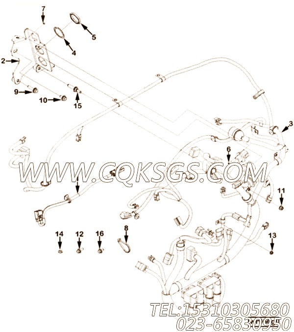 【ETR CNT MDL WRG线束】康明斯CUMMINS柴油机的2899555 ETR CNT MDL WRG线束