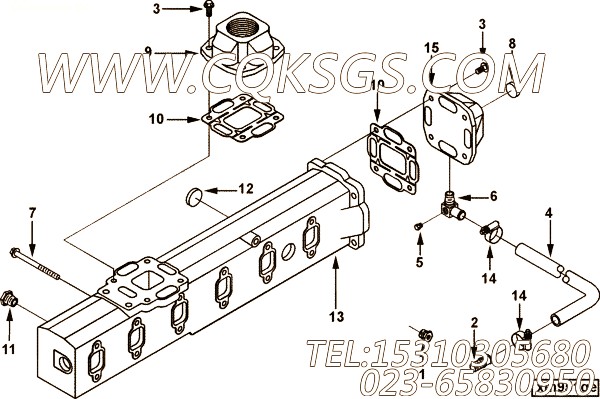 Coupling, Elbow Hose