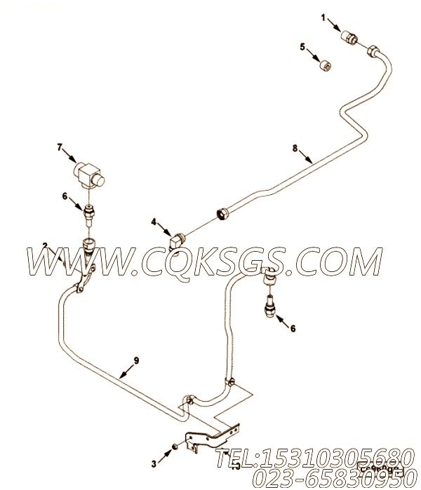 【阳性接头】康明斯CUMMINS柴油机的CC9487-01 阳性接头