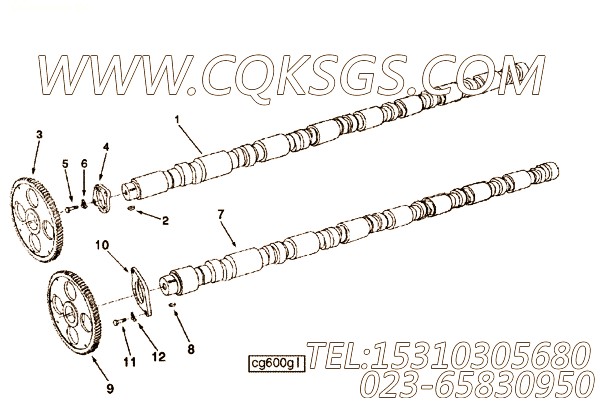 206747凸轮轴齿轮,用于康明斯KTA38-G5-800GF主机性能件组,【电力】配件