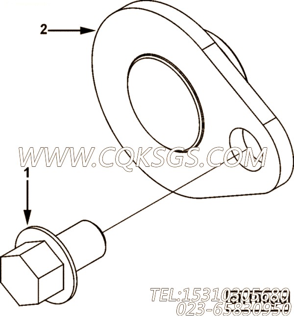 Plug, O Ring TLA