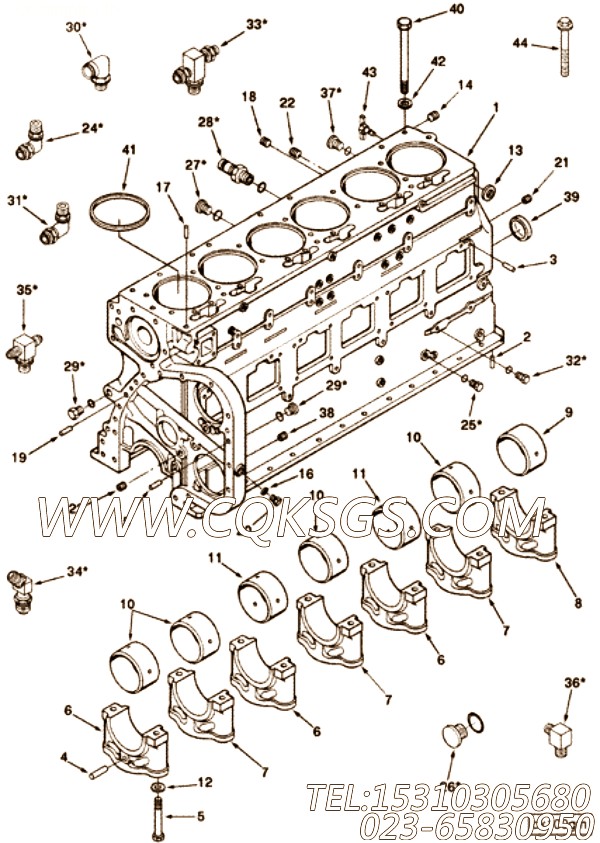 【柴油机B5.9-230G的机油标尺组】 康明斯螺塞,参数及图片