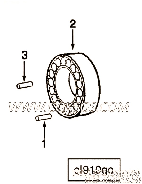Dowel, Pin