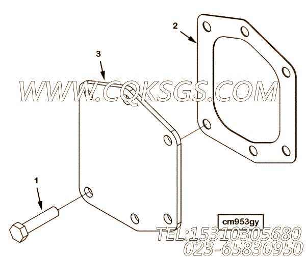 Gasket, Cover Plate