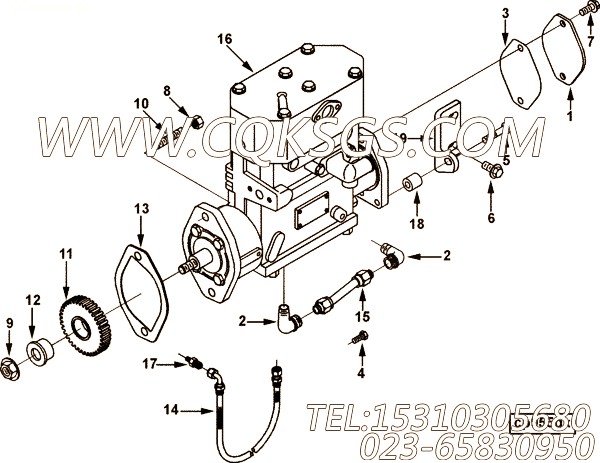 【阳性接头】康明斯CUMMINS柴油机的3921555 阳性接头